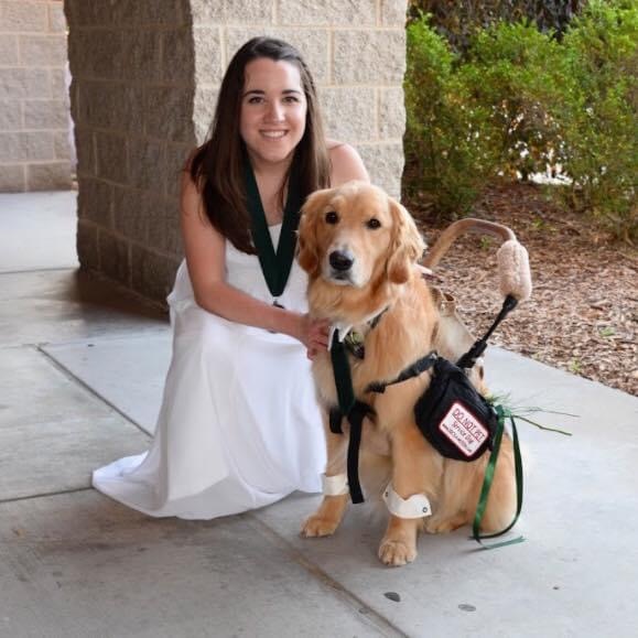 Do Therapy Dogs Have Public Access